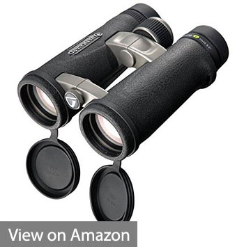 Vanguard 10x42 Binocular 