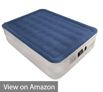 SoundAsleep Dream Series Air Mattress