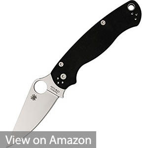 Spyderco ParaMilitary2 G-10 Knife