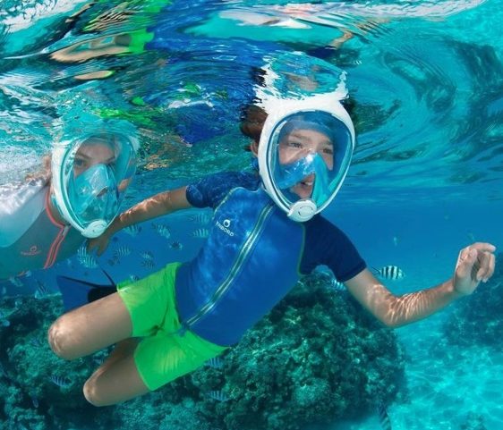 Download 9 Best Full Face Snorkel Mask Reviews 2020 Buyer S Guide PSD Mockup Templates
