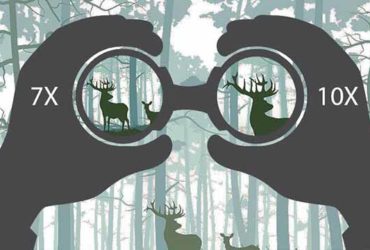 best hunting binoculars