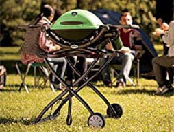 portable gas grill