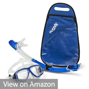 ProDive Premium Dry Top Snorkel Set