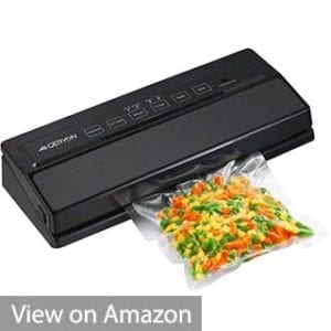 GERYON E2900 Vacuum Sealer