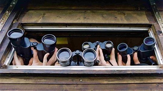 best binoculars for bird watching