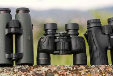 best binoculars for birds