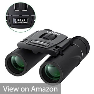Lstiaq Mini Pocket Binoculars