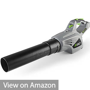EGO Power+ Cordless Electric Blower