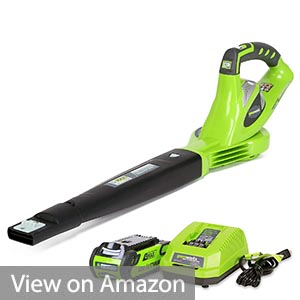 Greenworks 24252 Cordless Blower