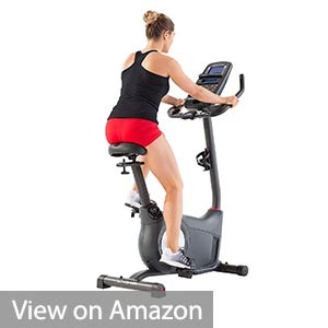 Schwinn 170 Upright Bike
