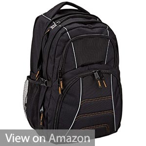 AmazonBasics Backpack for Laptops