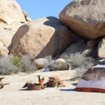 Essential tips for keeping warm when sleeping outdoors