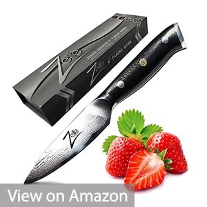 Zelite Infinity Paring Knife