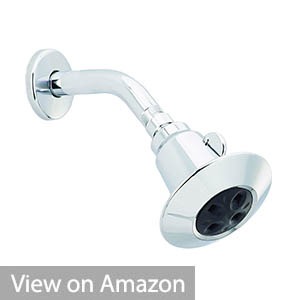 Delta 2-Spray Shower Head