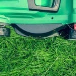 Best Lawn Mower