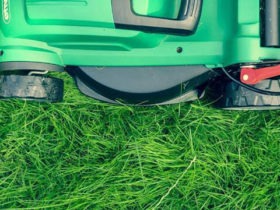 Best Lawn Mower
