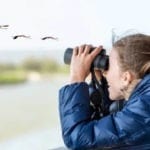 How to choose Binoculars for Bird Watching