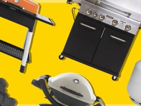 Things to Look for in the Best Portable Gas Grill
