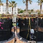 trampoline buying guide