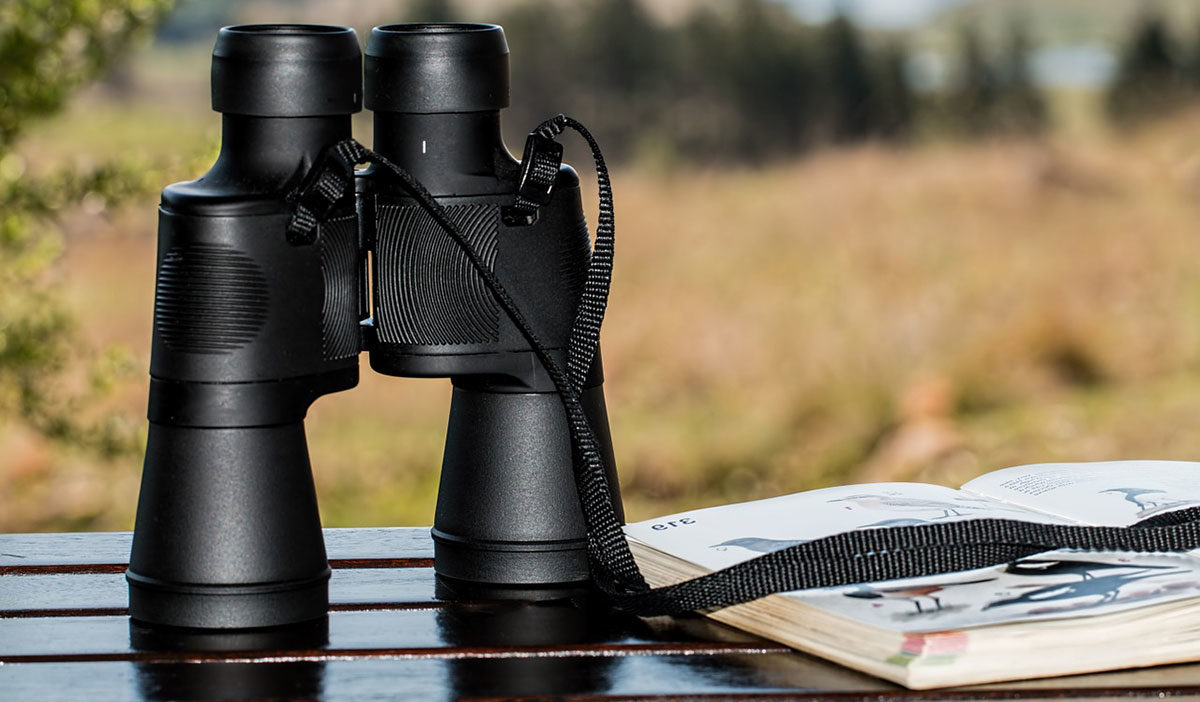 Binoculars for Bird Watching