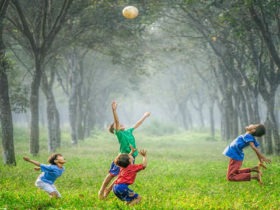 Fun Outdoor Activities to Entertain Your Kids