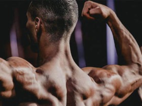 Ideas for Bodybuilders