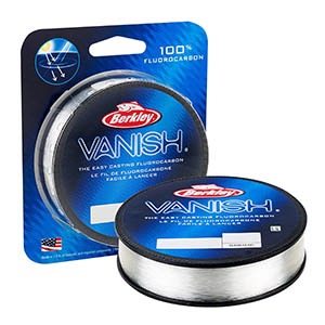 Berkley’s vanish line