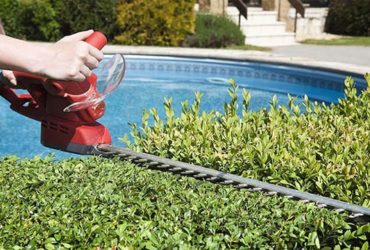 how to choose the Petrol Hedge Trimmer