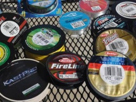 Best Fishing Line