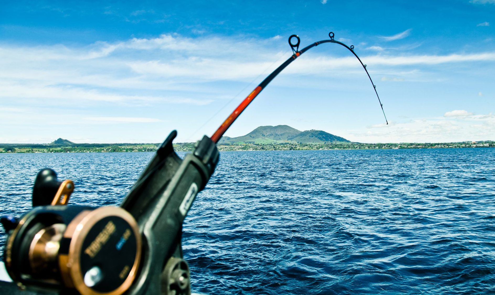fishing line