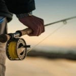 best fly line