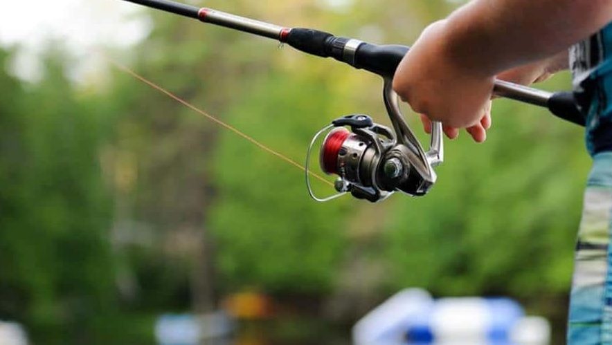 Best Fishing Line for Particular Types of Fish