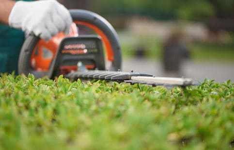 Petrol Hedge Trimmer