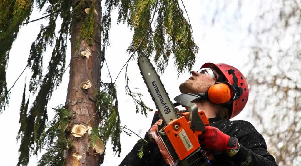 Chainsaw In Action