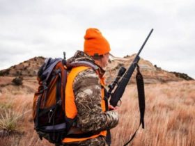 how to start the hunting