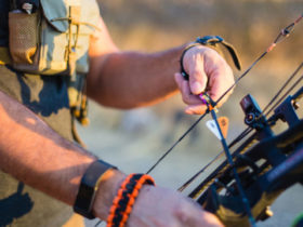 What Every Bowhunter Should Consider Before Firing An Arrow