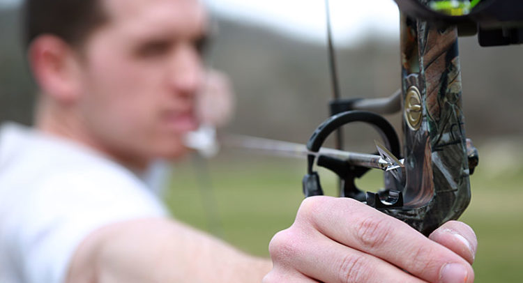 bow for hunting