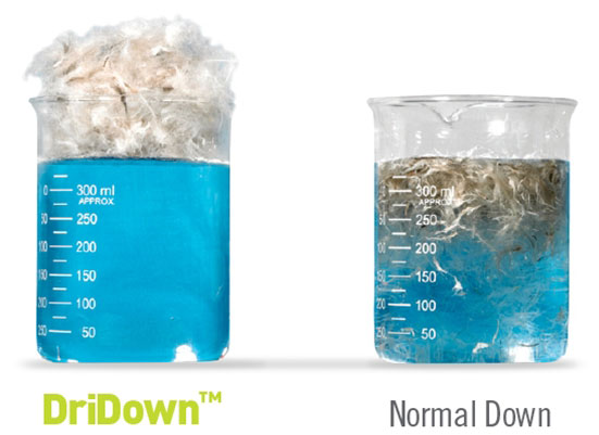 sierra-designs-dridown