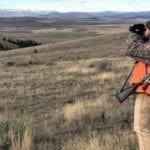 Where To Hunt Elk