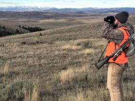 Where To Hunt Elk