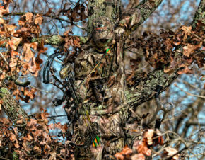 How to Start Bow Hunting