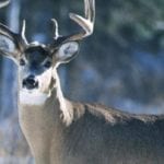 Hunting Regulations