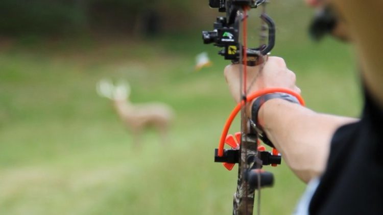 bowhunting practice comfort