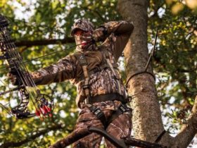 How to Pick A Perfect Tree for hunting