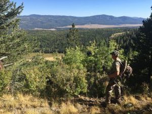 Training for Elk Hunting