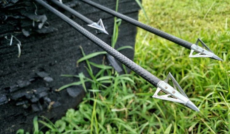 bowhunting-practice-broadhead