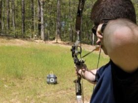 How to Start Bow Hunting