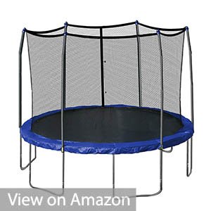 Skywalker Trampolines 12-Feet Round Trampoline